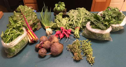 Welcome and Box&nbsp;#1